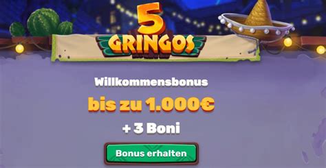 5gringos erfahrungen.
